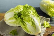 想長壽，那就每天吃一個雞蛋