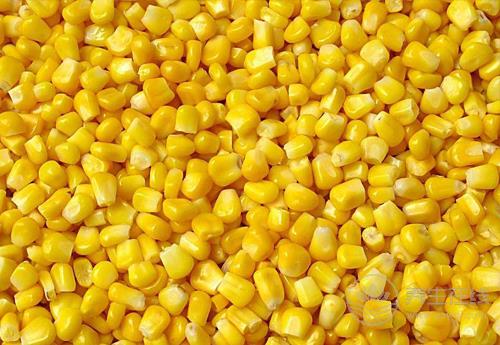 常吃玉米有4大好處，它的須別扔！也很養生