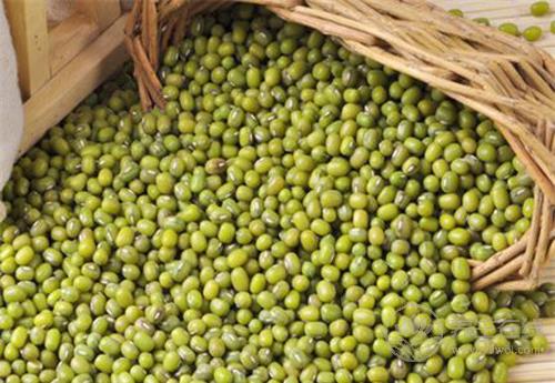 長痘痘，很毀“面子”？不妨多吃這些食物