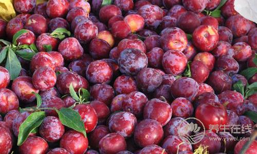 生活中的“純天然藥”，平時都吃得到