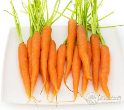 貧血吃什么?這4種食物補血效果不比紅棗差 貧血吃什么?這4種食物補血效果不比紅棗差