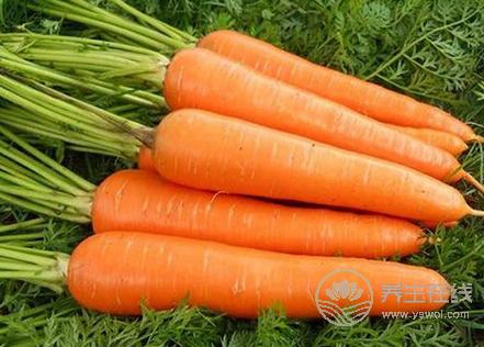 漲姿勢!這些食物竟然都能防脫發(fā) 漲姿勢!這些食物竟然都能防脫發(fā)