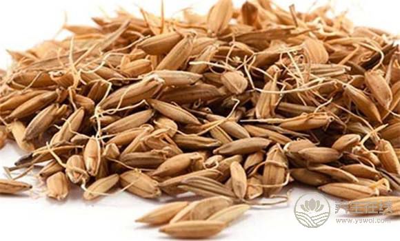 養(yǎng)胃的食物 五谷雜糧