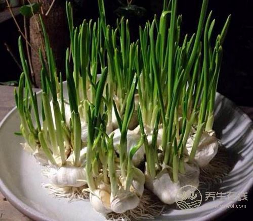 一患有脂肪肝，吃8種食物能緩解