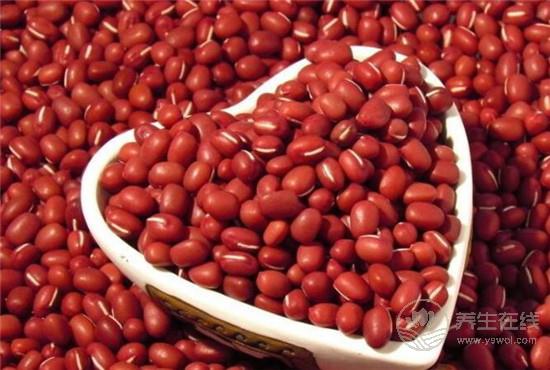 什么東西最養肝？4類不起眼的食材竟是肝臟守護神！