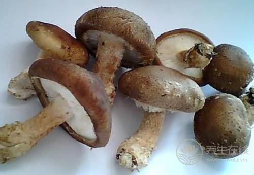 夏季養肝，多吃這些蔬菜，肝臟更健康