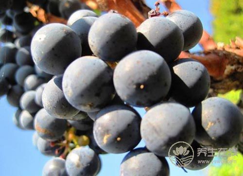 吃水果補(bǔ)鐵,黑葡萄第一名?錯(cuò)了! 吃水果補(bǔ)鐵,黑葡萄第一名?錯(cuò)了!