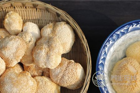 猴頭菇煲湯能養(yǎng)胃,搭配這些食材功效更好 猴頭菇煲湯能養(yǎng)胃,搭配這些食材功效更好