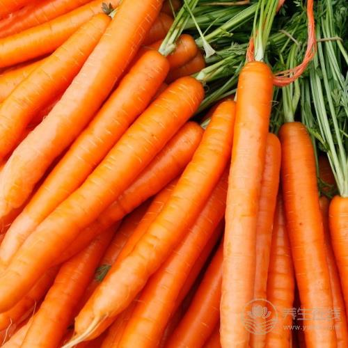 4種“換血食物”，每天吃一吃，血液越來越干凈