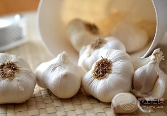 這些怪味食物最養(yǎng)人不好吃也要嘗嘗 這些怪味食物最養(yǎng)人不好吃也要嘗嘗