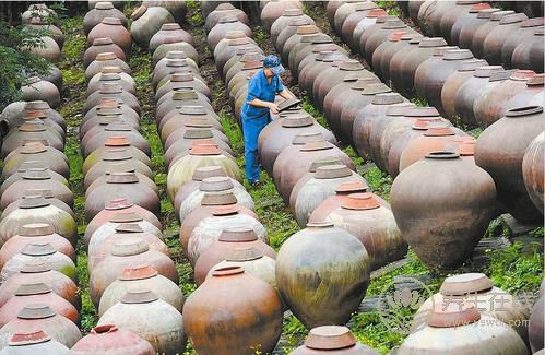 生活中7種食物富含益生菌 常吃養(yǎng)腸胃