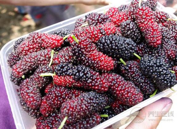 補血養顏就多吃這6種食物 補血養顏就多吃這6種食物