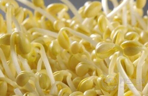 夏秋換季最容易生病，常吃4種食物幫你換季養(yǎng)生不得病