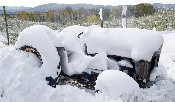 大雪<a href=http://www.jsjjzhkt.cn/jkys/ target=_blank class=infotextkey>養生</a>|您不得不看的食療益氣補血養生法 大雪養生|您不得不看的食療益氣補血養生法