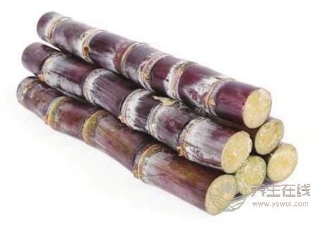 粵語中那些用來罵人的食物,敢問你懂得幾個? 粵語中那些用來罵人的食物,敢問你懂得幾個?