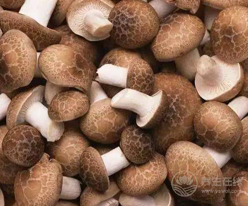 30歲后要關注的健康問題:3種食物能清血管,預防疾病 30歲后要關注的健康問題:3種食物能清血管,預防疾病