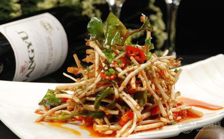 秋天總是咳咳咳,告訴你幾個食療方,趕緊用起來 秋天總是咳咳咳,告訴你幾個食療方,趕緊用起來