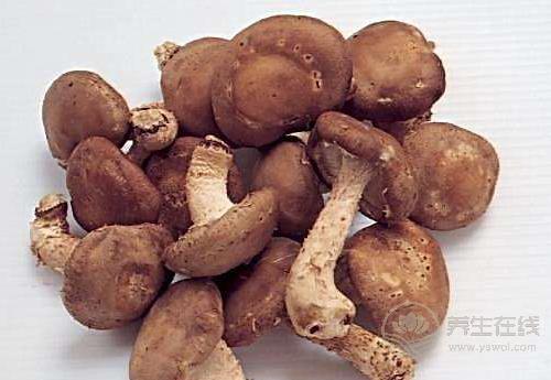 常吃香菇,對身體有這些好處,你都知道嗎? 常吃香菇,對身體有這些好處,你都知道嗎?