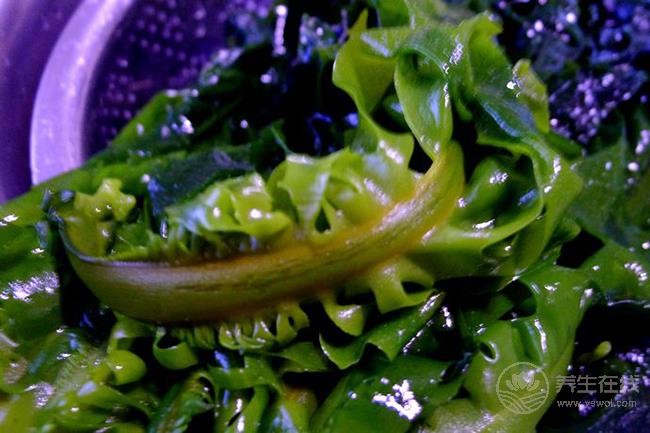 常吃這些菜不受血栓困擾,清理血管垃圾 常吃這些菜不受血栓困擾,清理血管垃圾