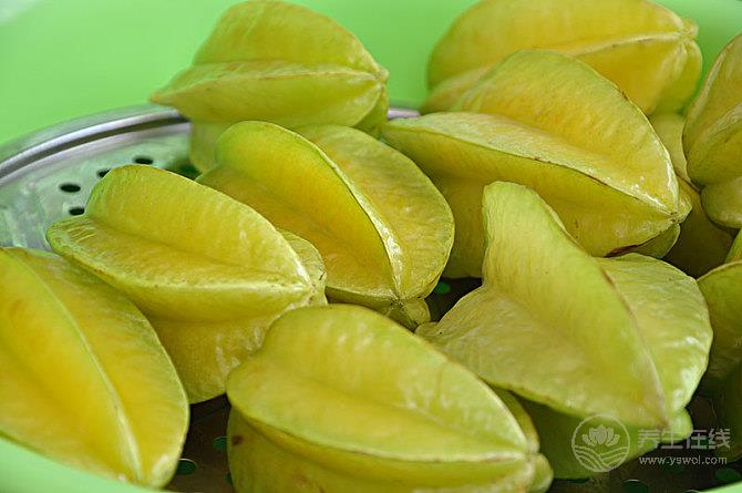 楊桃好吃,但這些人最好別碰 楊桃好吃,但這些人最好別碰