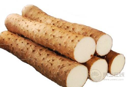 常吃淮山好處多,你知道嗎? 常吃淮山好處多,你知道嗎?