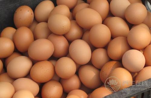 每一種“蛋”的營養都不一樣,別吃錯了 每一種“蛋”的營養都不一樣,別吃錯了