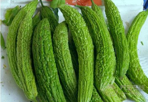 這些瓜，養(yǎng)生作用大，別忘了要多吃