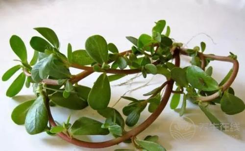 血脂高降不下來只因你沒吃這些 血脂高降不下來只因你沒吃這些