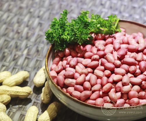 每天吃10顆花生,你會收獲這些好處! 每天吃10顆花生,你會收獲這些好處!