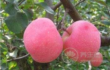 八種果蔬,護心臟,保健康 八種果蔬,護心臟,保健康