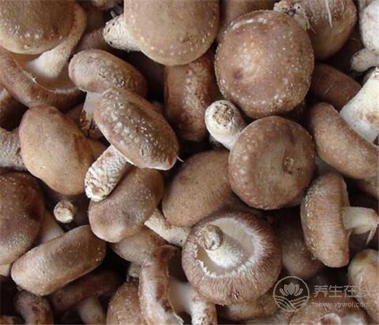 什么東西最養肝？4類不起眼的食材竟是肝臟守護神！