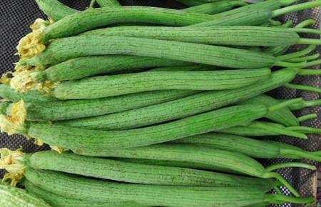 養生專家：女孩經常吃絲瓜，4個好處找上門