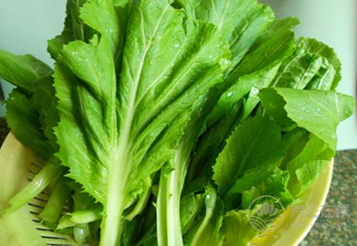 肝臟不好了，多吃這幾種食物，能促進肝毒排出，養肝護肝