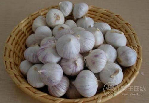 治胃病小能手，推薦這6種日常食物