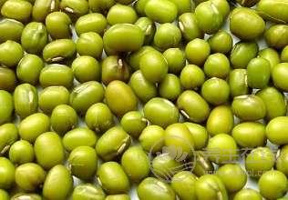 世界上最強的8種排毒食物 世界上最強的8種排毒食物