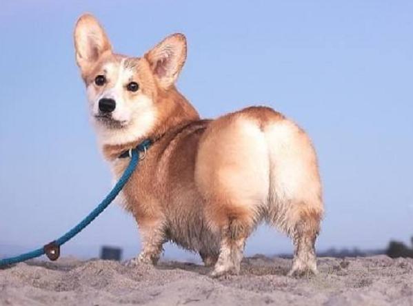 5得了痔瘡怎么治?這么做最有效! 5得了痔瘡怎么治?這么做最有效!