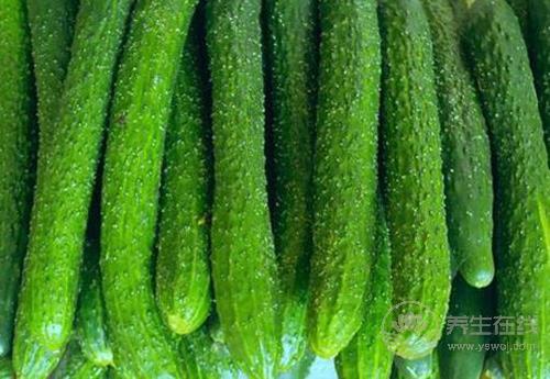 這些瓜，養(yǎng)生作用大，別忘了要多吃