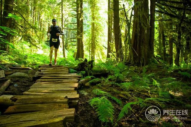 養生知識:如何提高自身防御病邪的能力 養生知識:如何提高自身防御病邪的能力