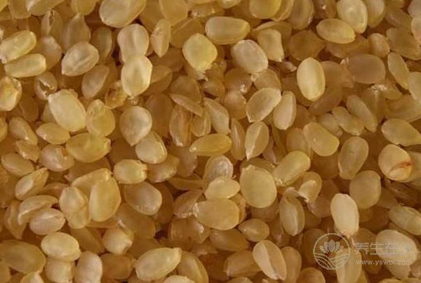 皂角米的功效與作用及注意事項