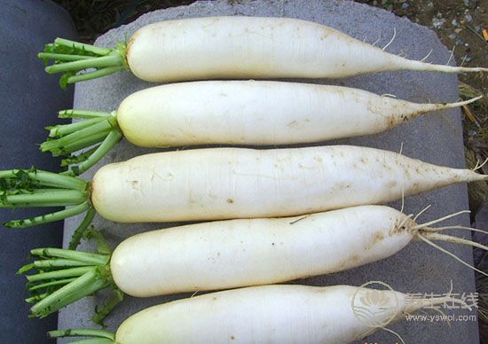 實用的買菜技巧,天天吃上新鮮菜 實用的買菜技巧,天天吃上新鮮菜