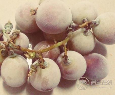 吃提子時皮澀怎么處理?4招解決方式 吃提子時皮澀怎么處理?4招解決方式