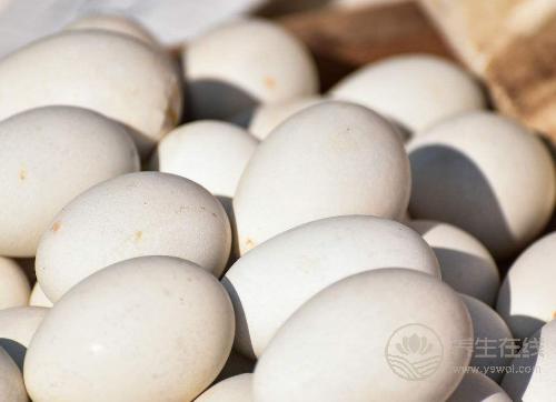 每一種“蛋”的營養都不一樣,別吃錯了 每一種“蛋”的營養都不一樣,別吃錯了