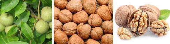 八種果蔬,護心臟,保健康 八種果蔬,護心臟,保健康