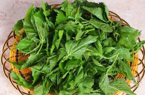 血液粘稠容易危及生命，生活中這些食物可以緩解