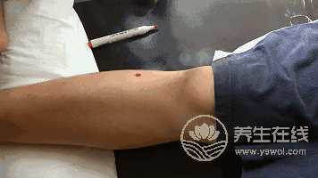 要想脾胃好，可經(jīng)常艾灸這2個穴位