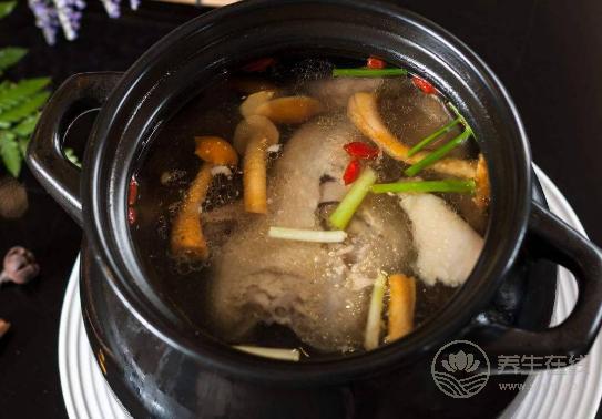 雞湯養生,這5種人最好不要喝,小心引病上身 雞湯養生,這5種人最好不要喝,小心引病上身