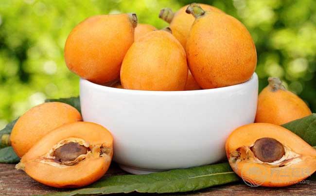 枇杷搭配它們吃,止咳、化痰效果更佳 枇杷搭配它們吃,止咳、化痰效果更佳