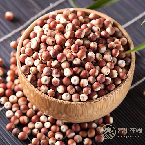 食療養生:食物調理脾胃小幫手 食療養生:食物調理脾胃小幫手