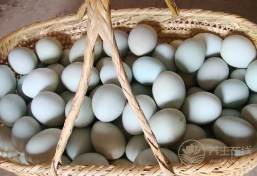 每一種“蛋”的營養都不一樣,別吃錯了 每一種“蛋”的營養都不一樣,別吃錯了