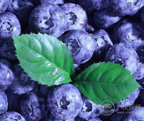 4種食物對肌膚有益,愛美的人別錯過 4種食物對肌膚有益,愛美的人別錯過